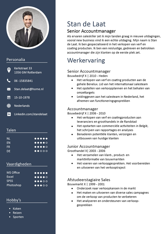 Knorretje generatie selecteer Cv templates (gratis) in Word: perfect cv maken met een template!