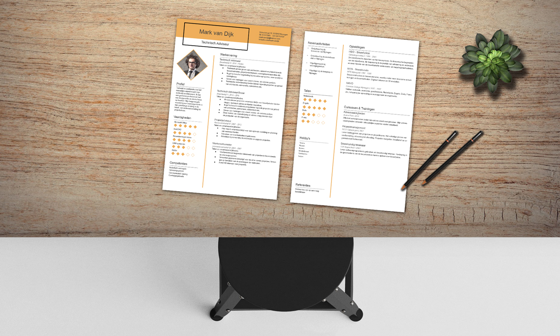 Voorbeeld cv techniek