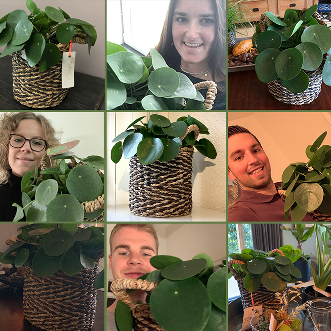 WETALENT Nieuws afbeelding Een Plantsome surprise!