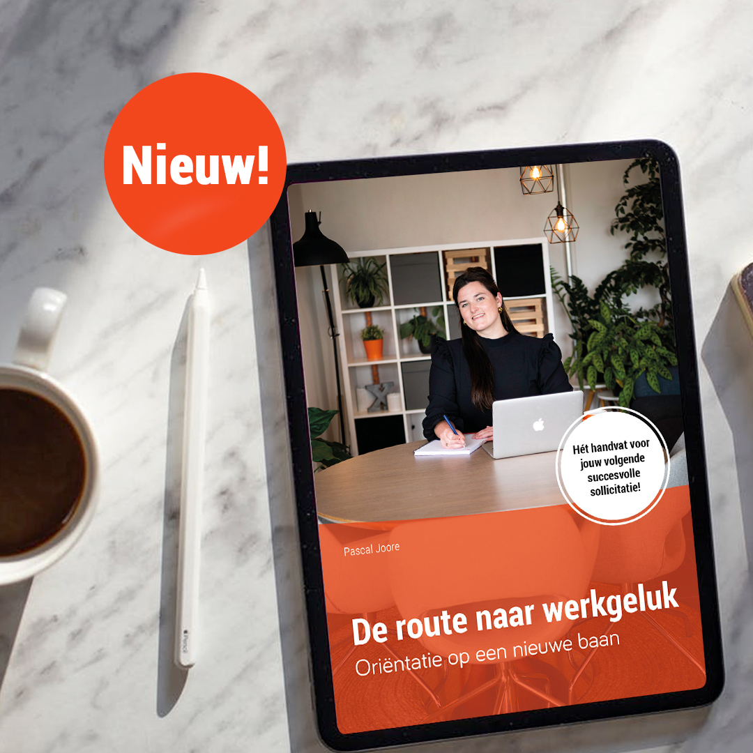 Afbeelding e-book Oriëntatie op een nieuwe baan