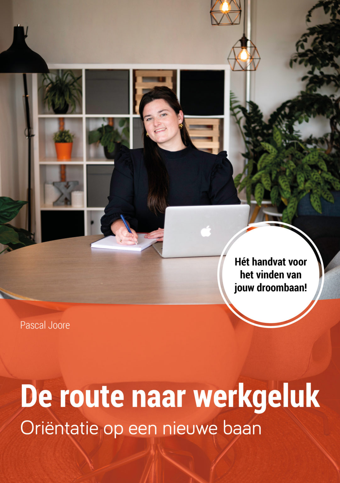 Afbeelding Afbeelding E-book: Oriëntatie op een nieuwe baan