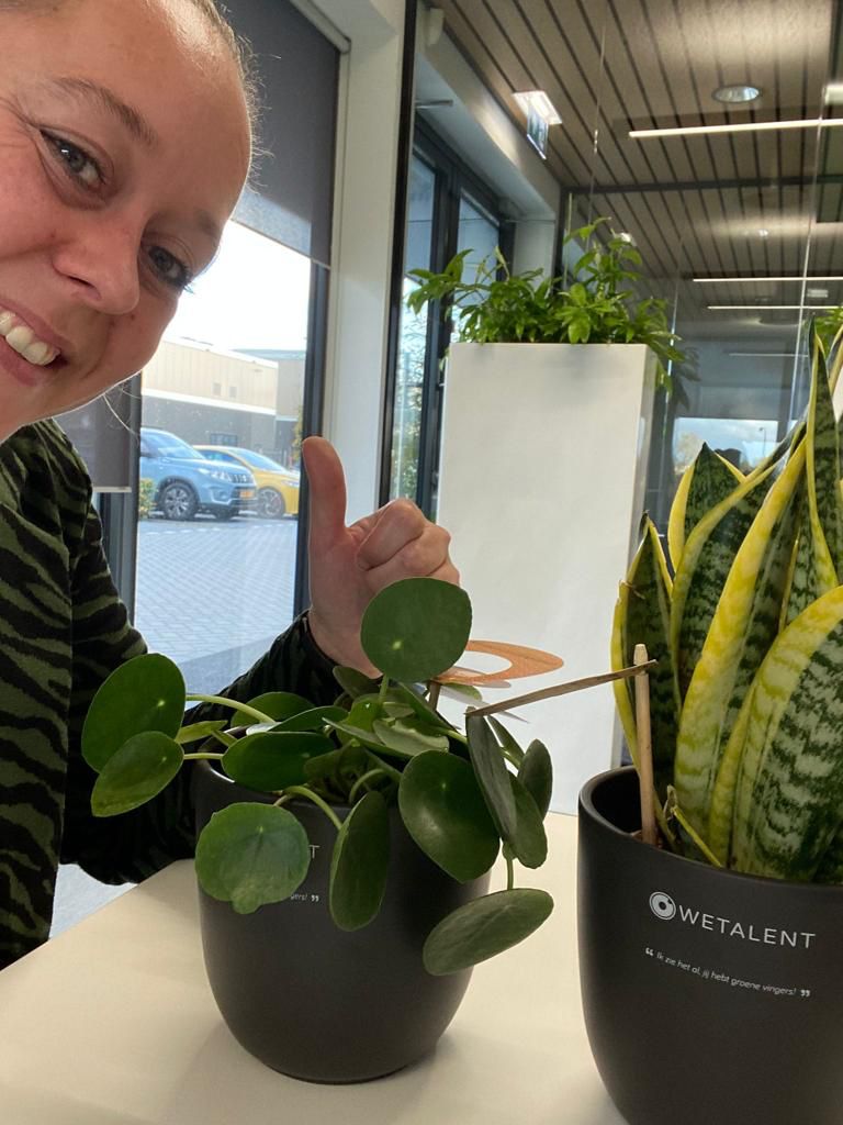 WETALENT Nieuws afbeelding Gefeliciteerd met je nieuwe uitdaging: Marlies van Helden